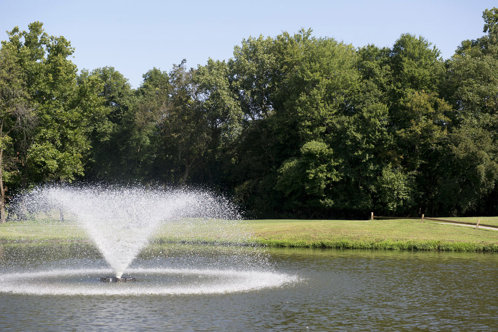 A fountain sprays a cone of water in an outdoor pond. Behind the pond is green grass and a line of trees.