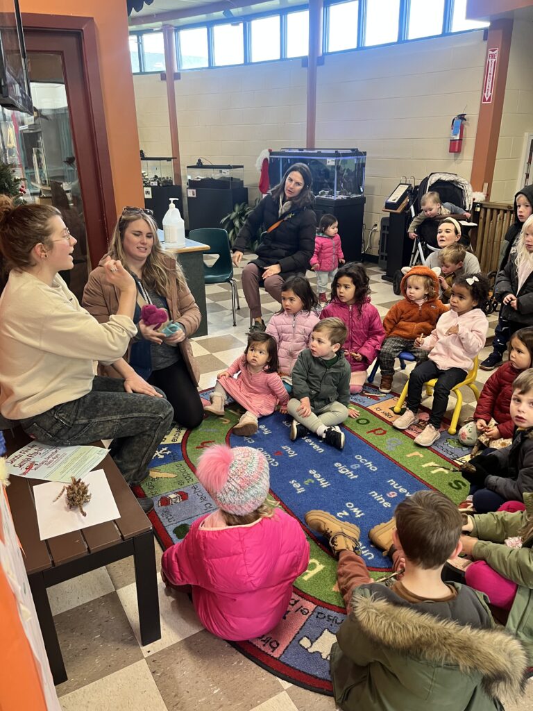 Toddler Time: Bird Migration