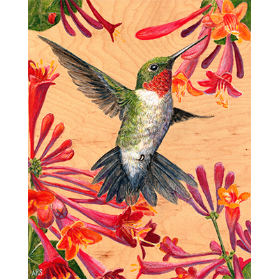 A colorful painting of a white and green hummingbird getting nectar from red and orange plants against a wood grain background