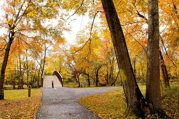 An asphalt path leads to a wooden bridge that goes over a river. The leaves on the trees are all yellow and orange, and scattered all over the ground