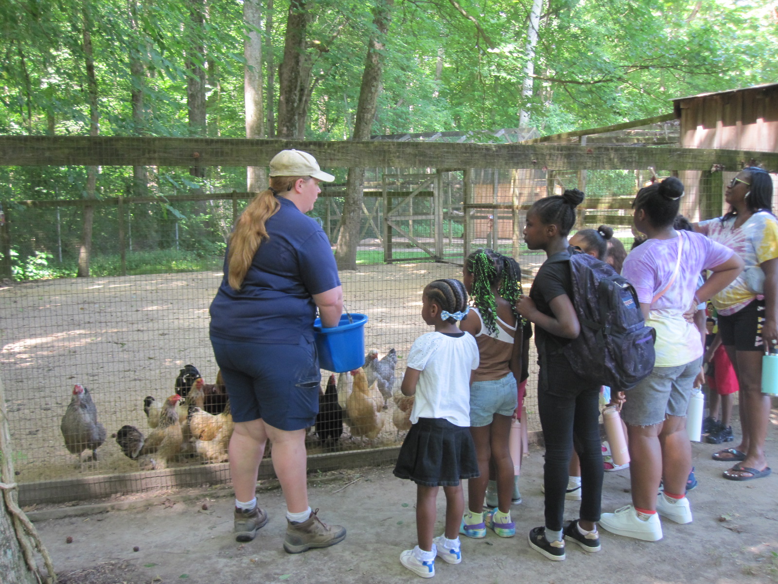 About a dozen chickens crowd along the chicken-wire wall of their outdoor pen, where a staff person holds a bucket of feed. A group of kids stands to one side, watching.