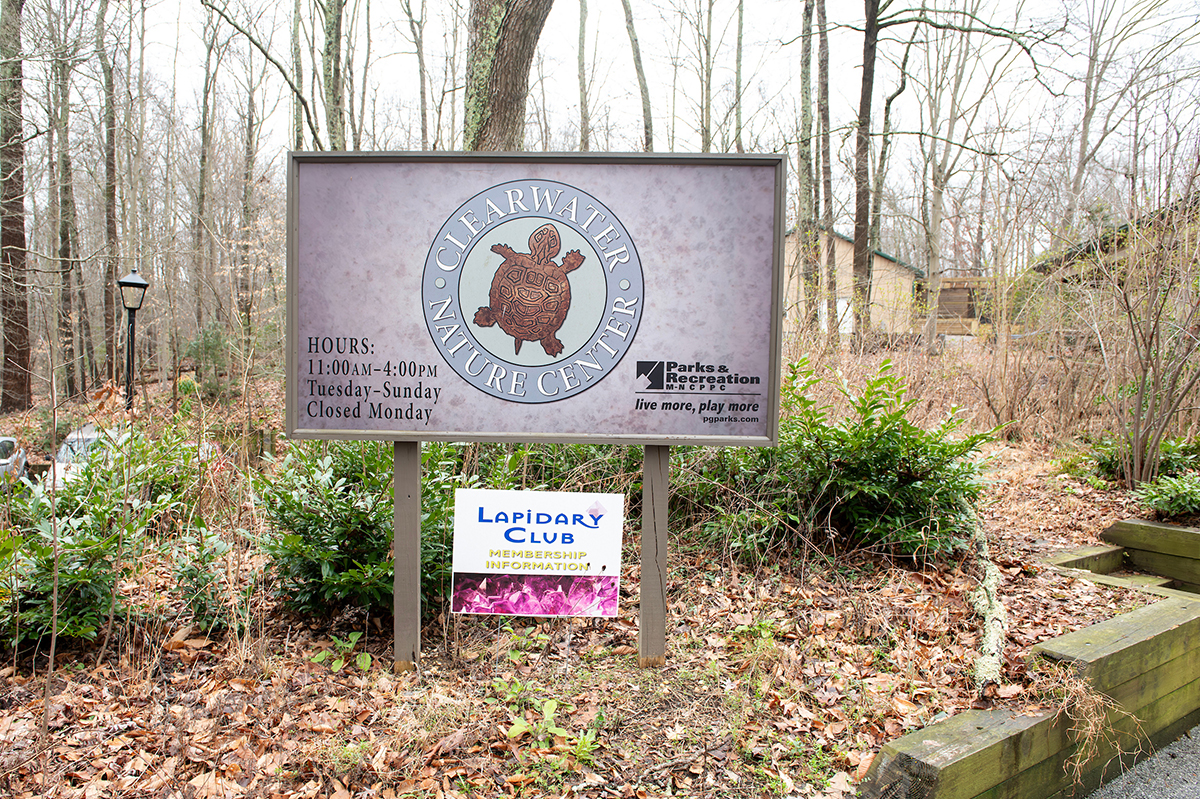 A wooden sign that reads Clearwater Nature Center with an image of a turtle. In the distance is a tan building with a green roof.