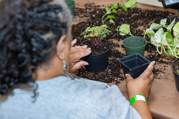 Woman planting a plant in a small pot.