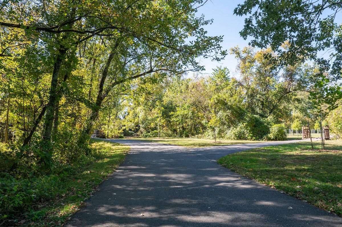 A paved trail forks in a park, leading over a footbridge.