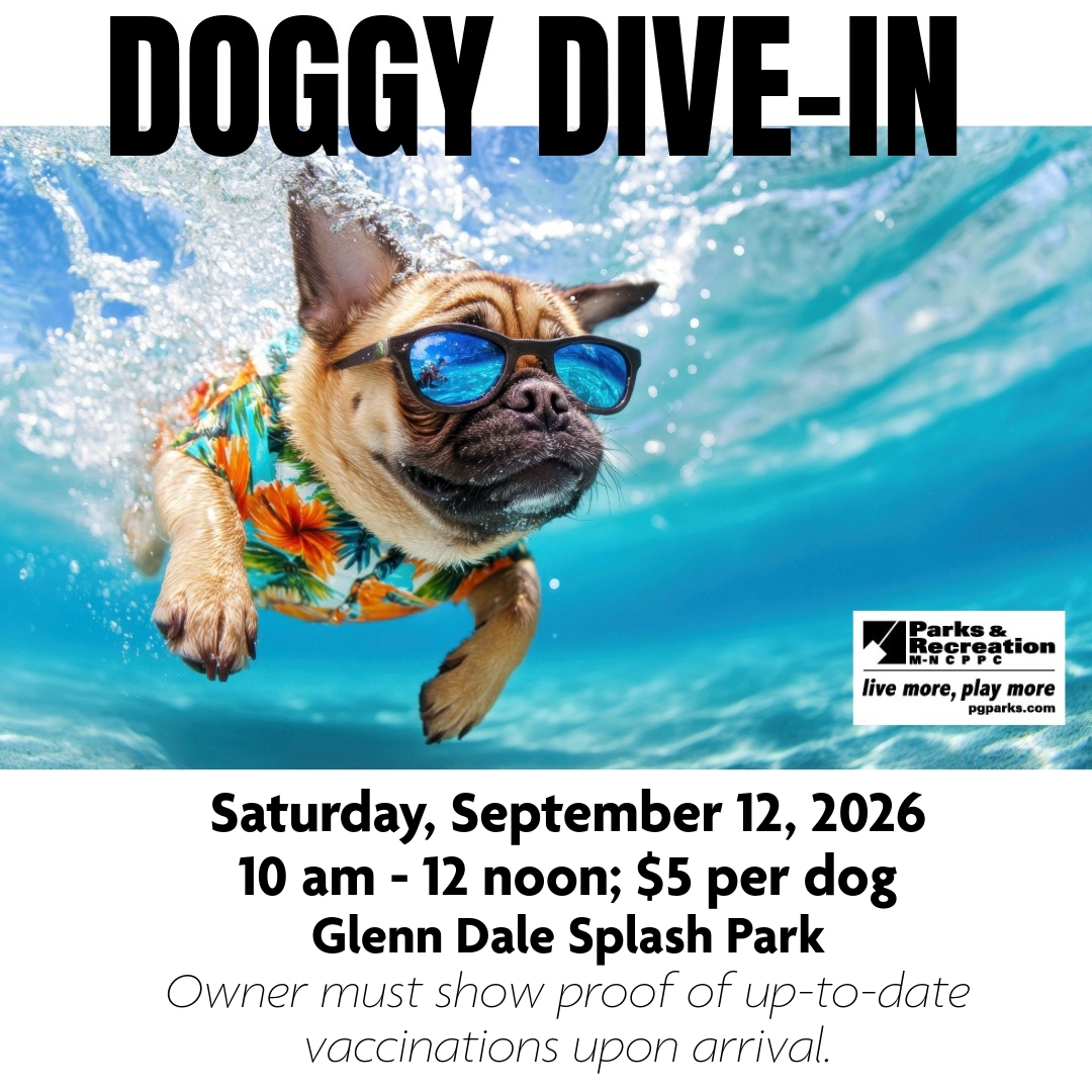 Dog wearing sunglasses and a floral shirt swims underwater in a pool to promote the Doggy Dive-In event.